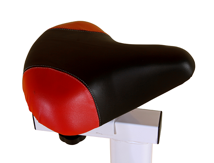 BodyTrain ES-7021 Racing Studio Style Exercise Bike White