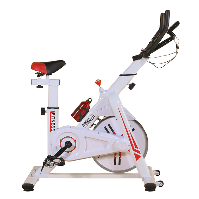 BodyTrain ES-7021 Racing Studio Style Exercise Bike White